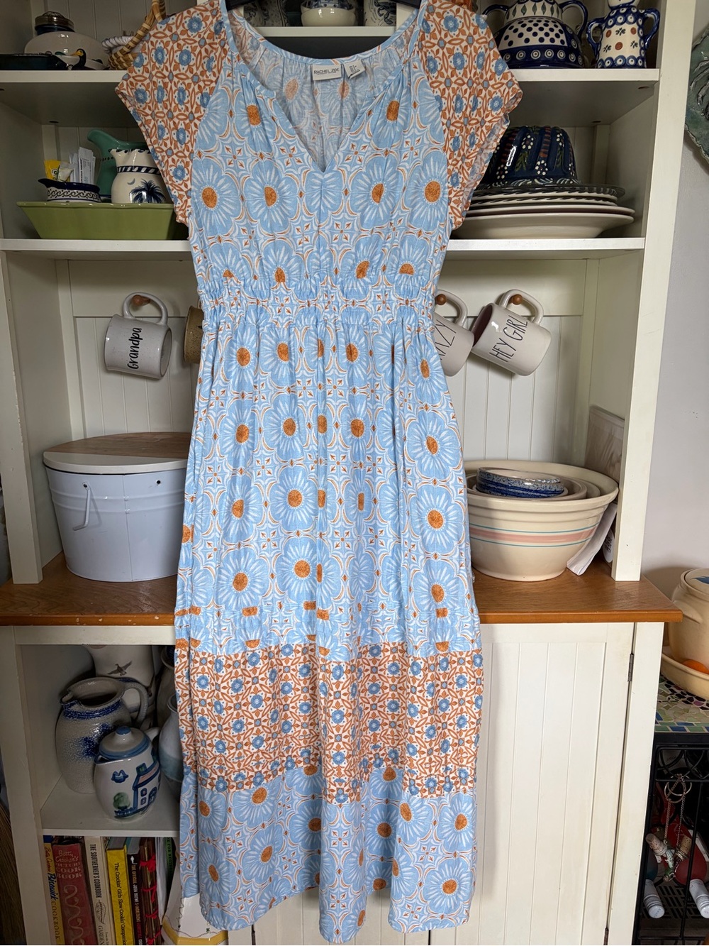 Rachel Zoe Sz Small Light Blue and Tan Floral Maxi Dress